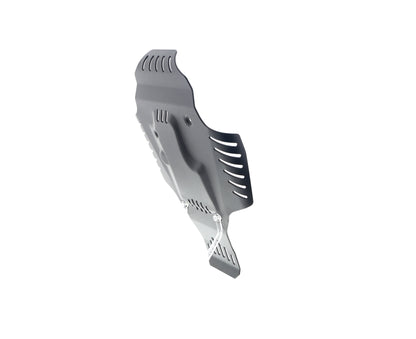 evotech-bmw-r-12-engine-guard-2024