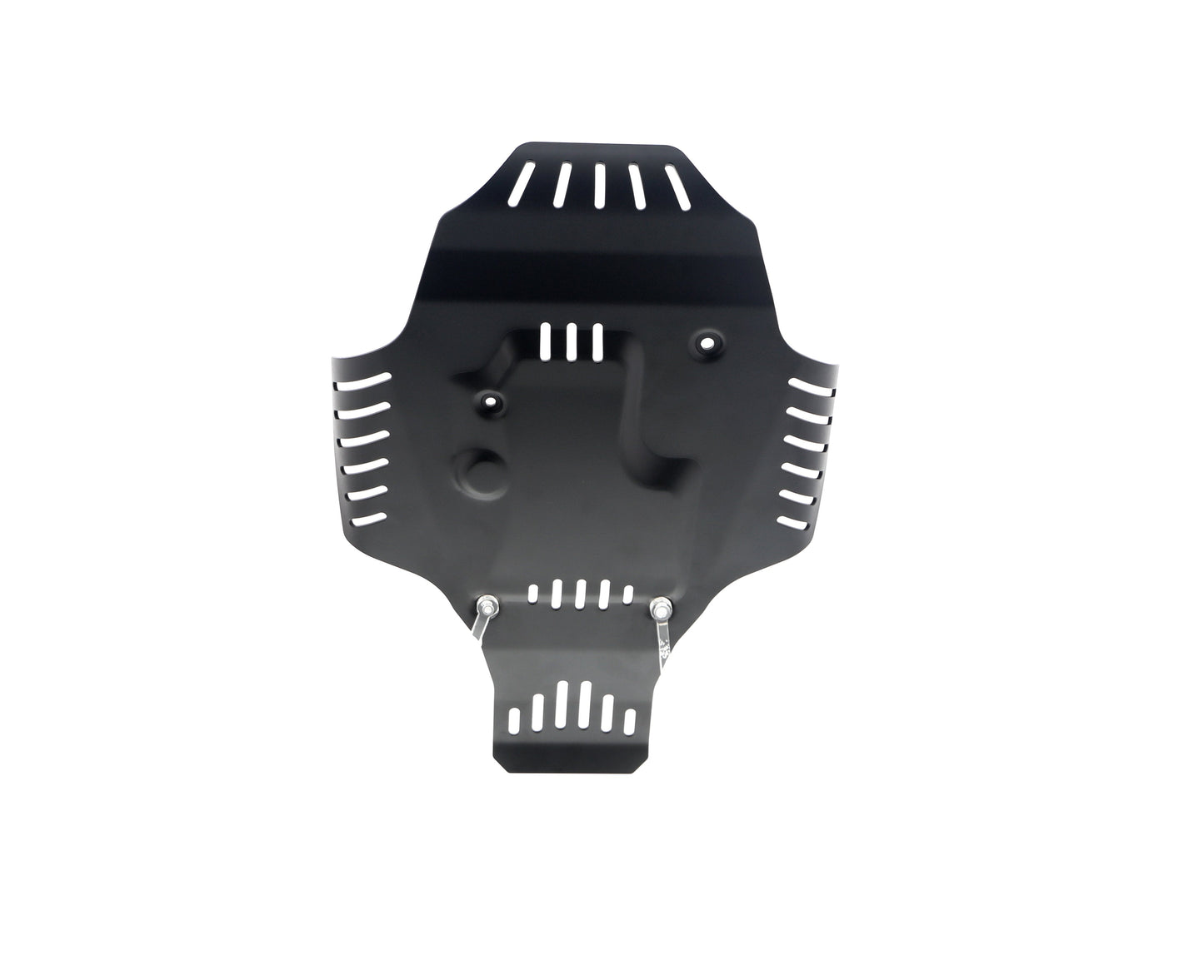 evotech-bmw-r-12-engine-guard-2024