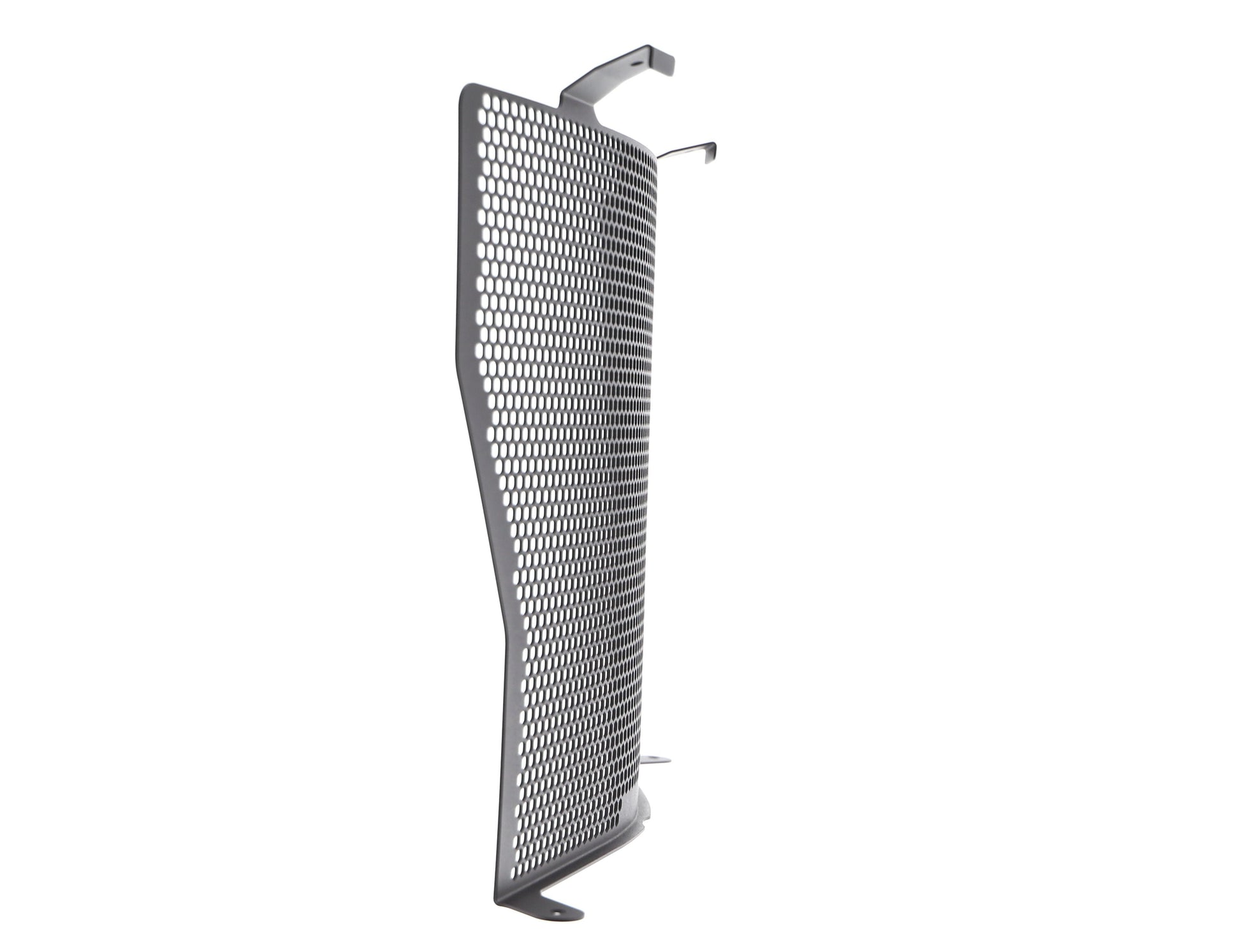 bmw-s-1000-naked-radiator-guard-2017-onwards