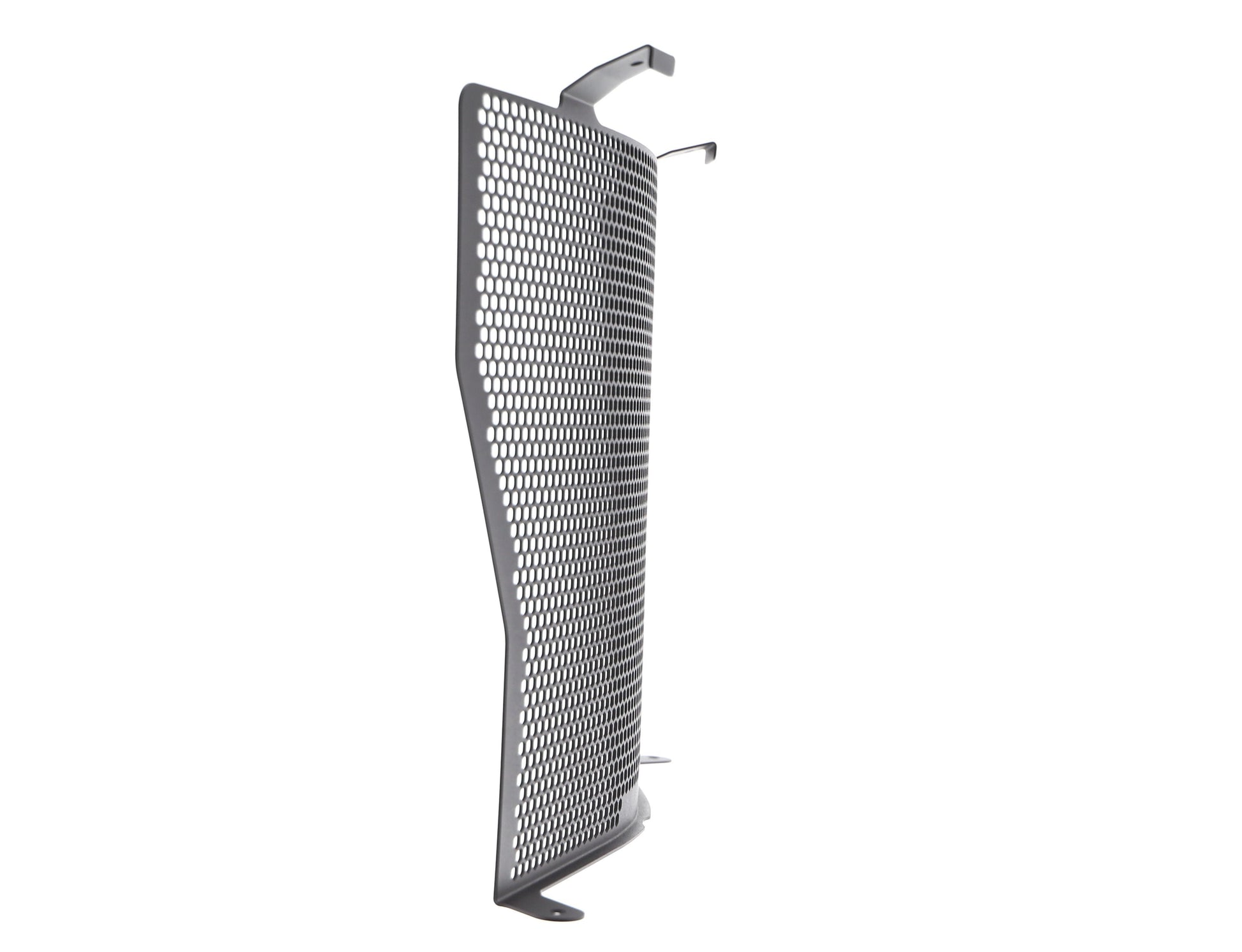 bmw-s1000rr-radiator-guard-2010-to-2011