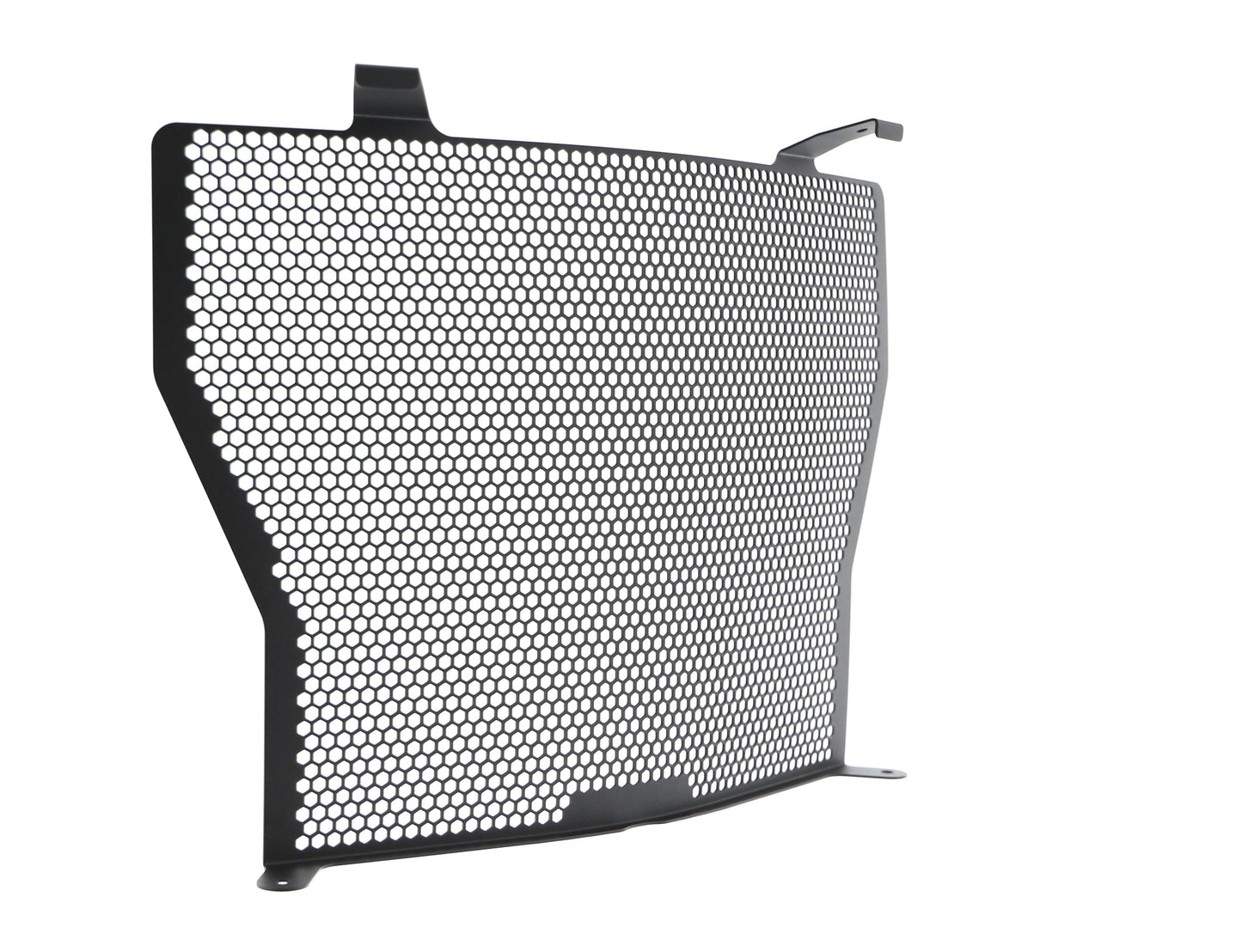 bmw-s-1000-naked-radiator-guard-2017-onwards
