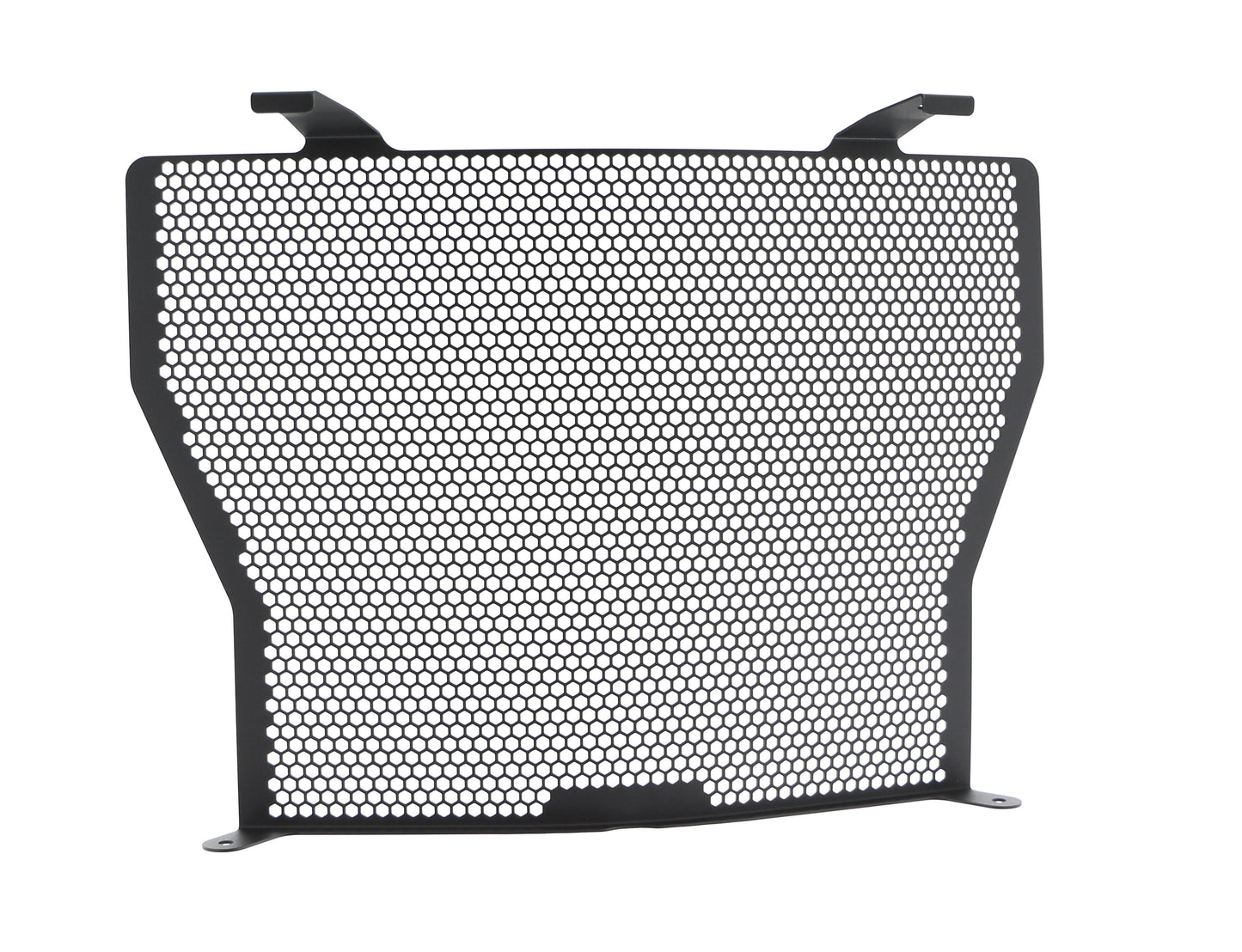 bmw-s-1000-naked-radiator-guard-2017-onwards