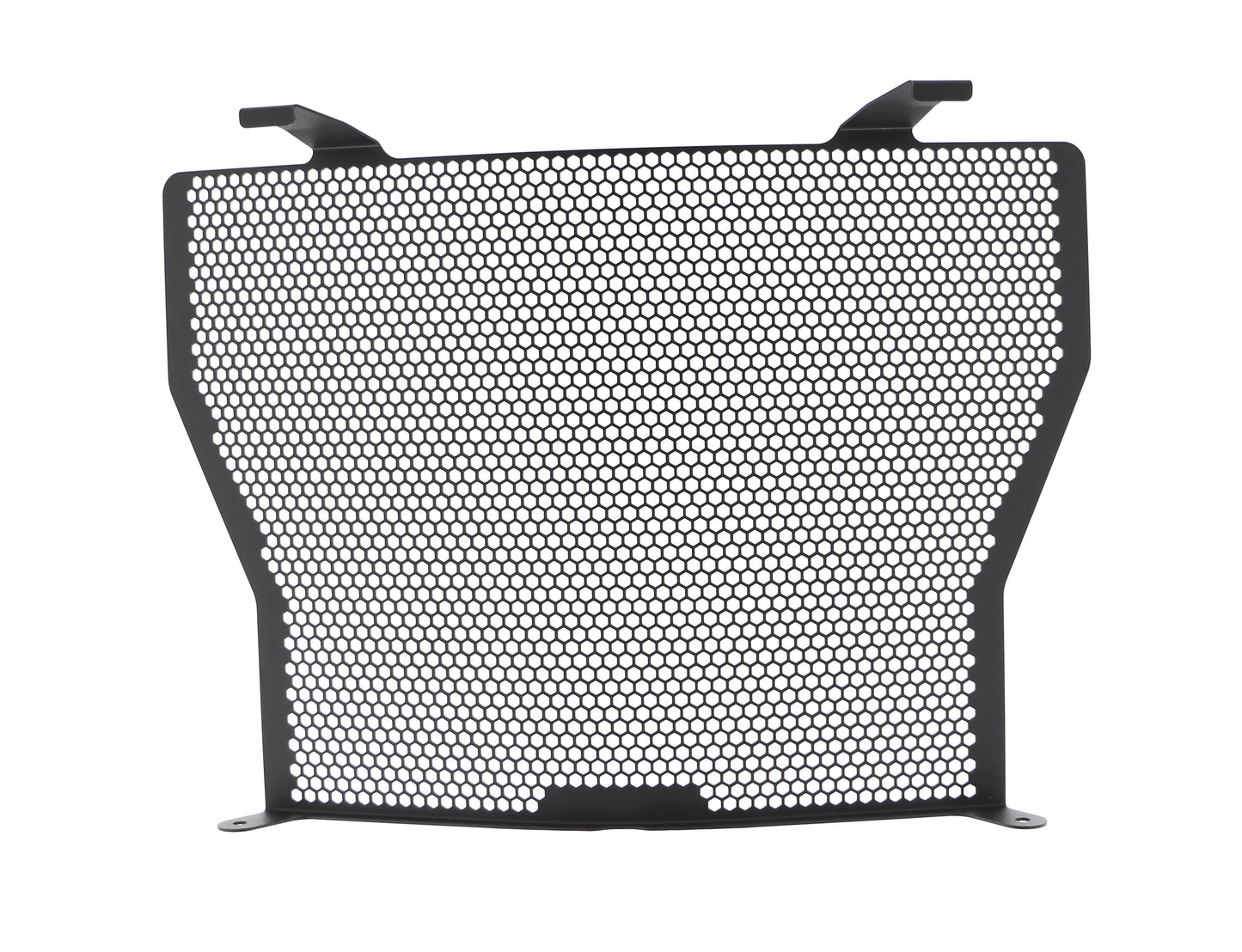bmw-s-1000-naked-radiator-guard-2017-onwards