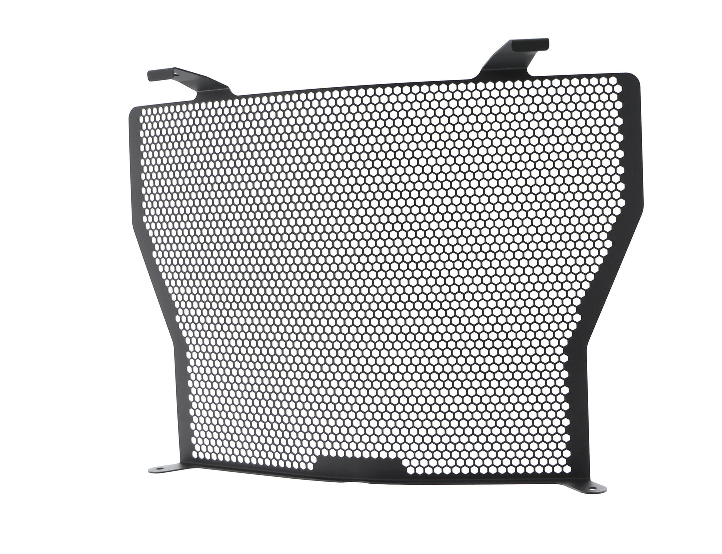 bmw-s-1000-naked-radiator-guard-2017-onwards