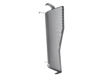 bmw-s-1000-naked-radiator-guard-2017-onwards