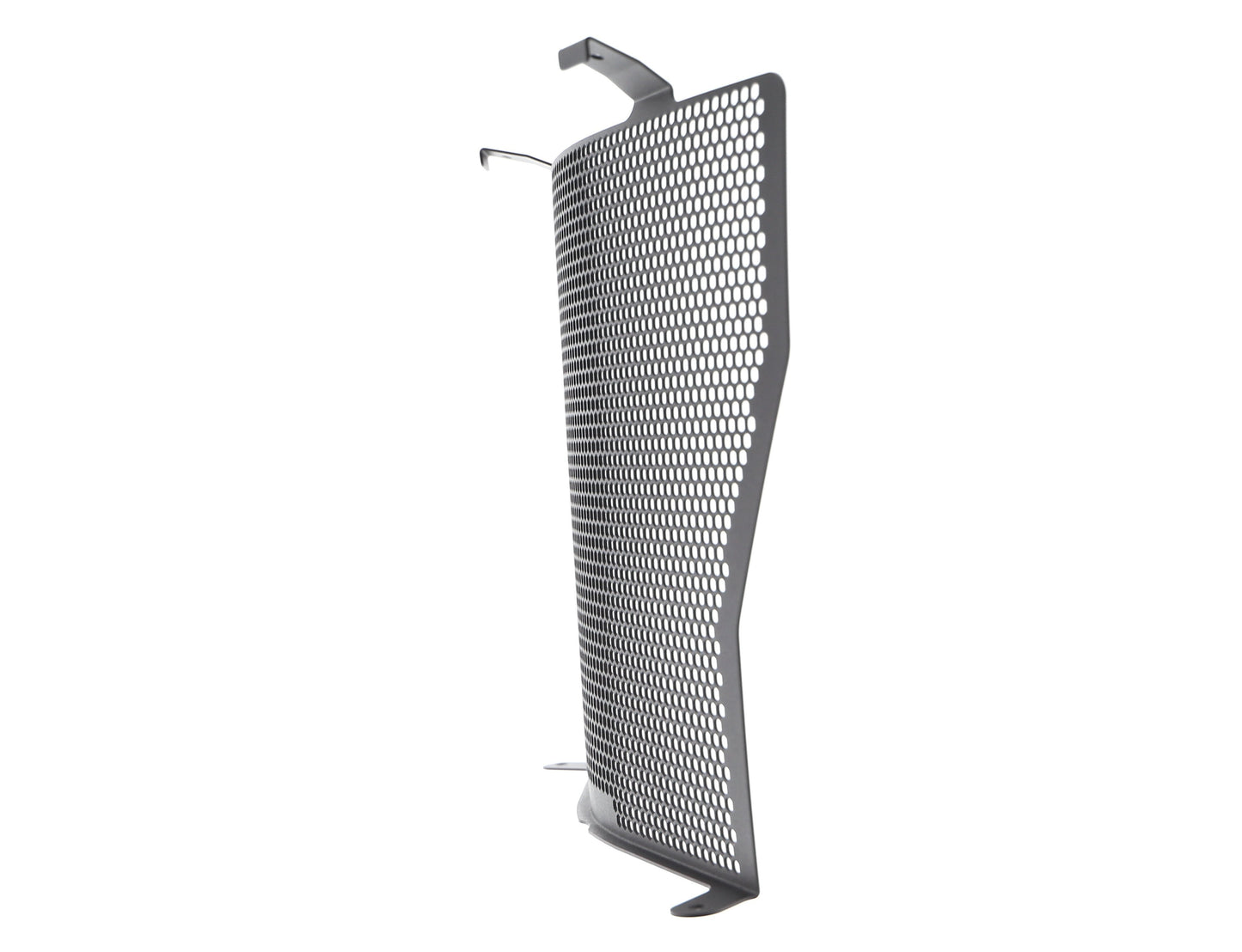 bmw-s1000rr-radiator-guard-2010-to-2011