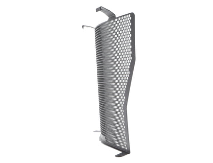 bmw-s1000rr-radiator-guard-2010-to-2011