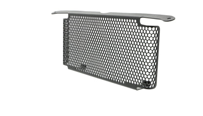 bmw-s-1000-naked-oil-cooler-guard-2017-onwards
